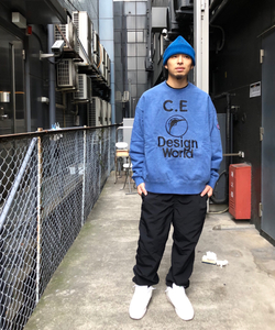 styling_image