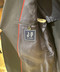 thumbail8
