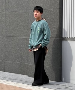 styling_image