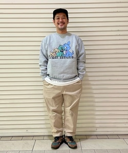 styling_image