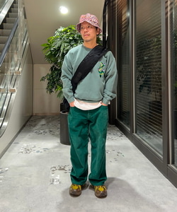 styling_image