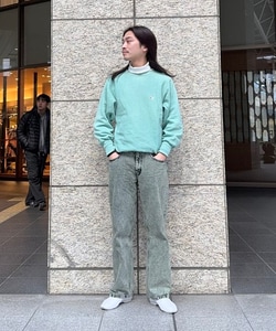 styling_image