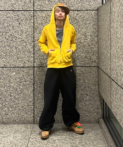 styling_image