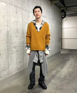 styling_image