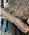 thumbail5