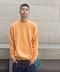 thumbail6