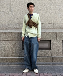styling_image