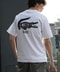 thumbail8