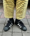 thumbail8
