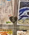 thumbail10