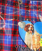 thumbail9