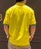thumbail6