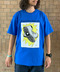 thumbail3