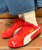 thumbail10