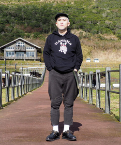 styling_image