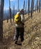 thumbail9