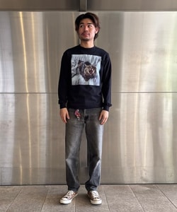 styling_image