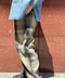 thumbail8