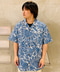 thumbail4