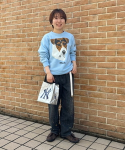 styling_image