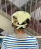 thumbail10