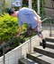 thumbail5