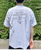 thumbail7