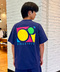 thumbail5