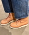 thumbail6