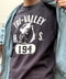 thumbail5