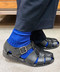 thumbail6