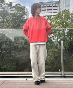 styling_image