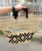 thumbail5
