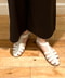 thumbail9