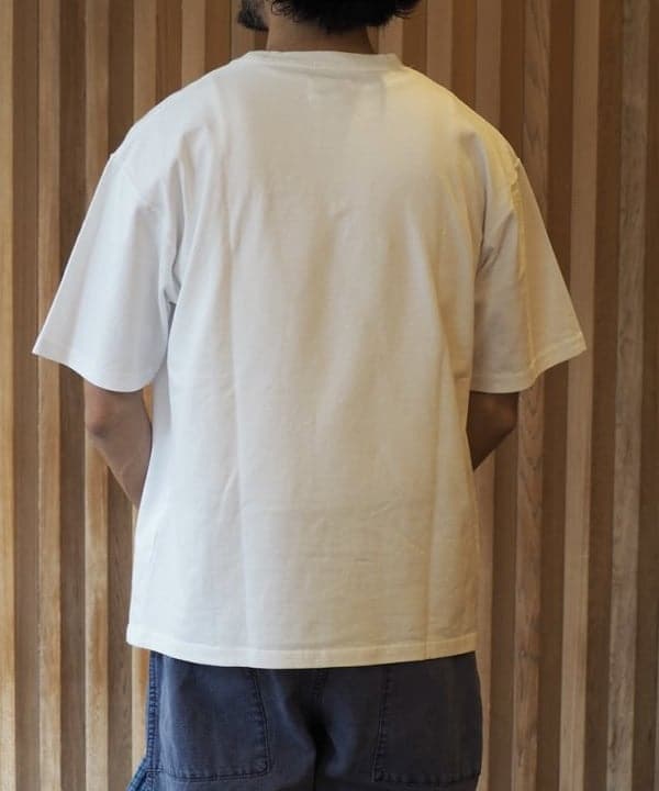 image6