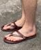 thumbail6