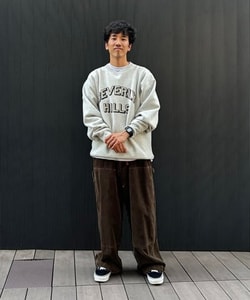 styling_image