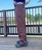 thumbail5