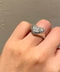 thumbail10