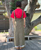 thumbail3