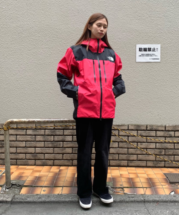 THE NORTH FACE BEAMS MULTIDOORSY JACKETuppe