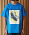 thumbail8