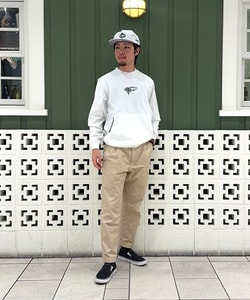 styling_image