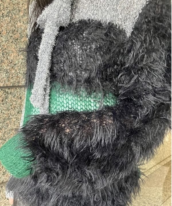 加歩さんの「BEAMS WOMEN｜maturely / スリーヤーン ボウタイ ロングスリーブ」を使ったコーディネート