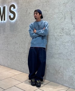 styling_image