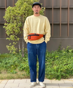 styling_image