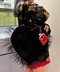 thumbail7