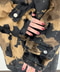 thumbail7