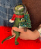thumbail6