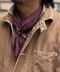 thumbail3